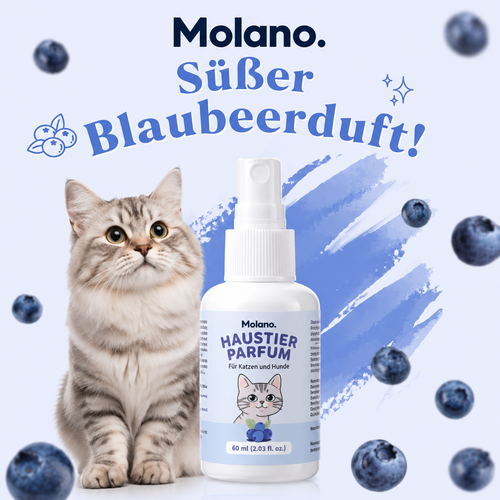 Molano Haushalts Spray