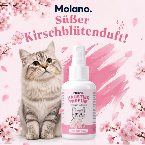 Molano Haushalts Spray